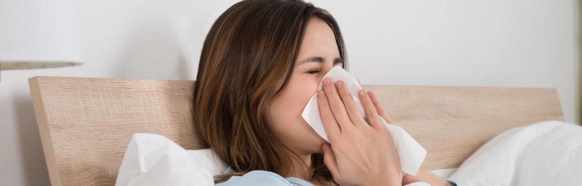 ozone air purifier