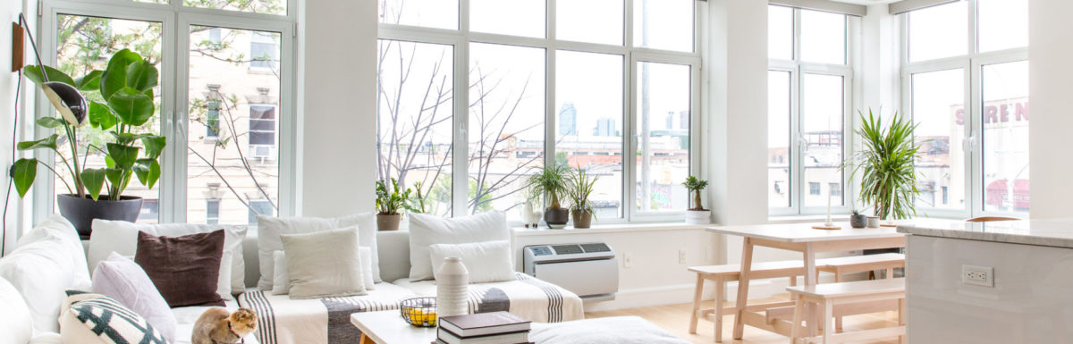 ozone clean house
