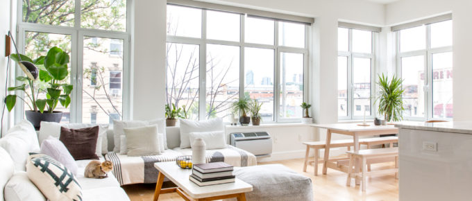 ozone clean house